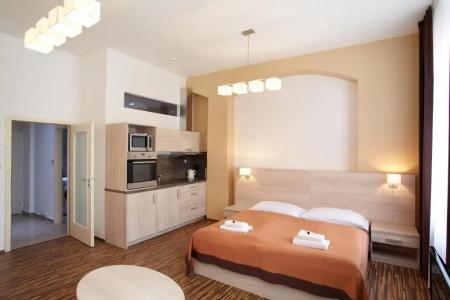 Residence U Cerne Veze - 156