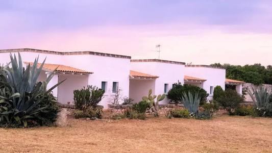 Masseria Palombara Grande - 57