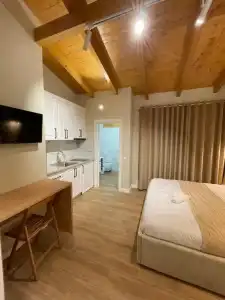Arial Penthouse Suites - 142