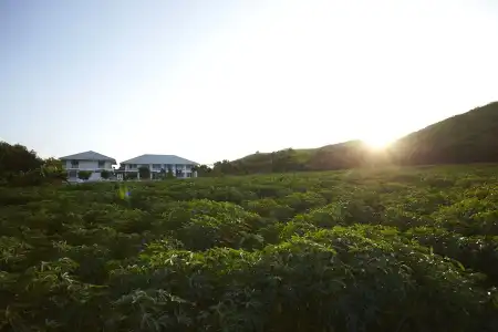 Santosha Health Lifestyle Resort - 10
