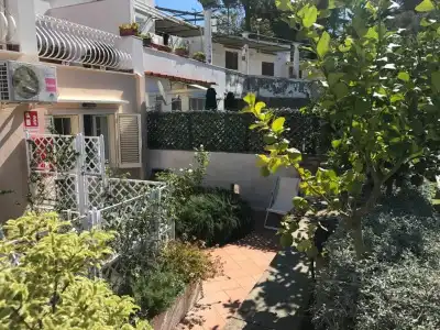 La Reginella - 33