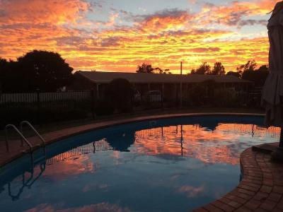Begonia City Motor Inn - 8