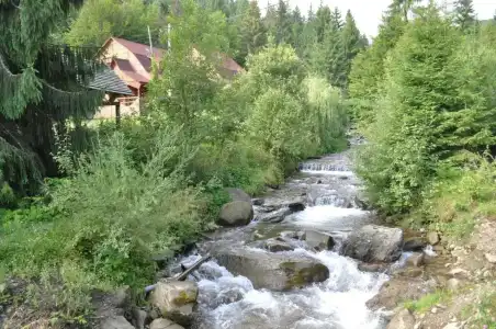 Zarinok - 38