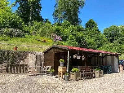 Pension Gelpkes Mühle - 4