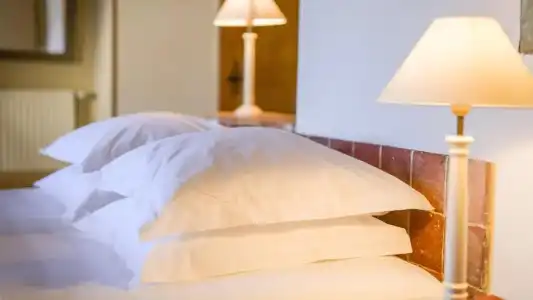 Le Champ des Oiseaux Hôtel & Spa 4* - 69