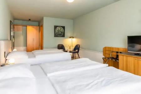 Mercure Pforzheim - 148