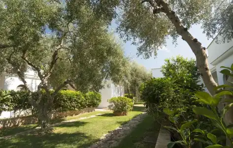 Villaggio San Matteo - 64