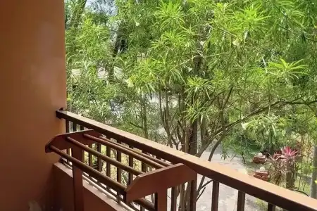 Safari Riviera Resort - 55