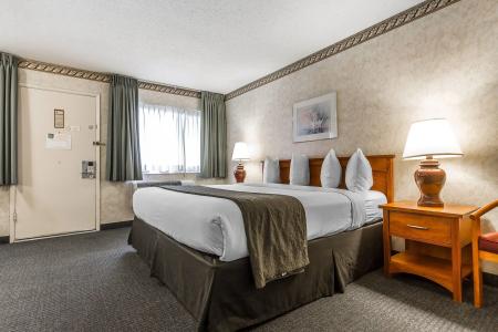 Quality Inn & Suites Silicon Valley - 41