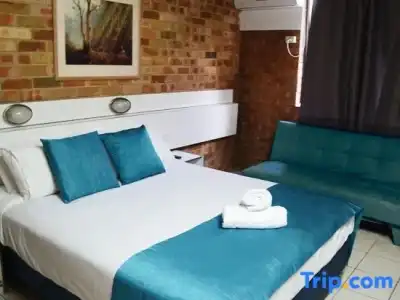 Marco Polo Motor Inn Sydney - 110