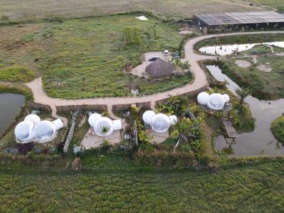Green Land Bubble Glamping - 12