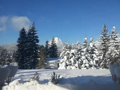 WaldSeefeld - 17
