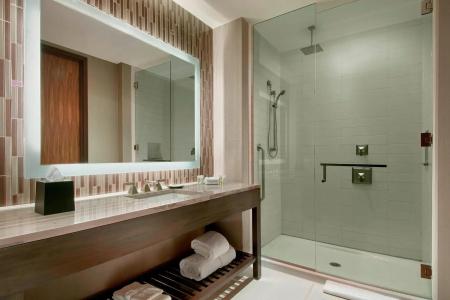 Cambria Downtown Phoenix Convention & Airport - 40