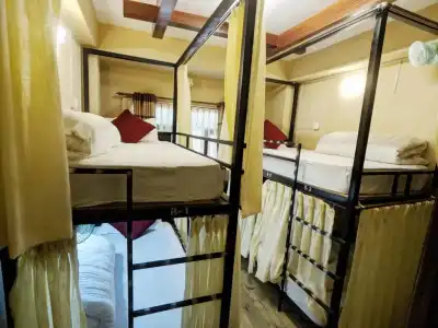 Forest Lake Backpackers' Hostel - 5