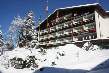 Restaurant Alpina - 25