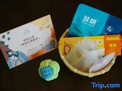 Ascott Raffles City Chengdu - 129