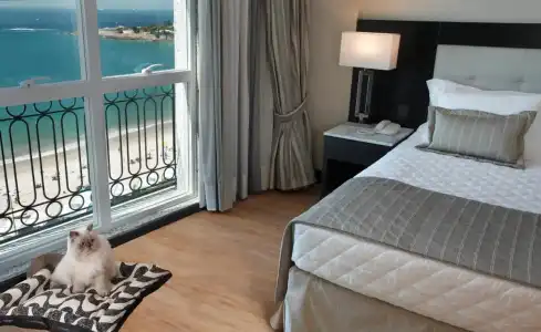 Miramar by Windsor Copacabana - 8