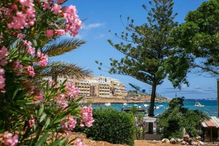 Beach Garden - 28