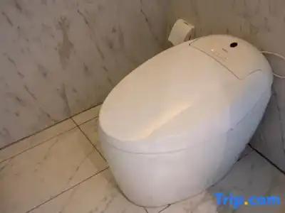 Shanshui S - 44