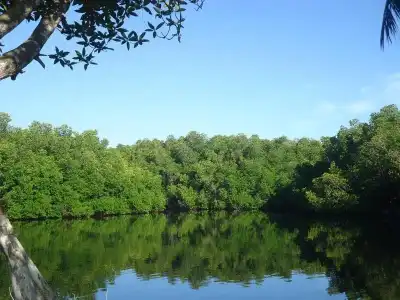Lagoon Bentota - 9