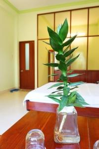 Cat Tien Guesthouse - 59