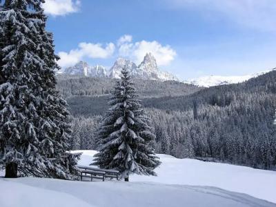 Stella Alpina - 13