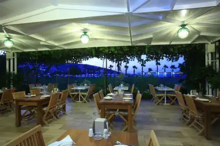 Catamaran - 24