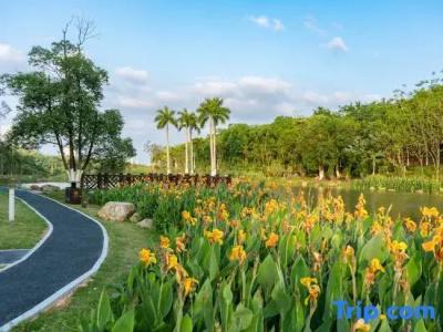 Nanning Wuxiang Resort - 34