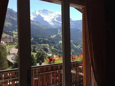 Bellevue - Traditional Swiss Hideaway - 75