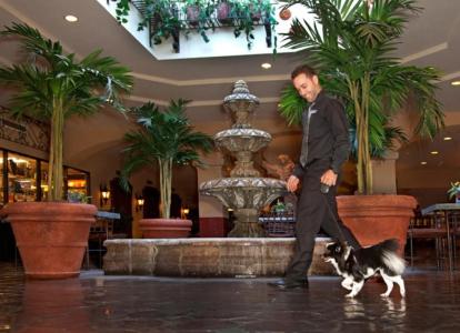 Encanto de Las Cruces - 22