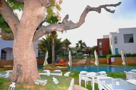 COSTA LUVİ - 19
