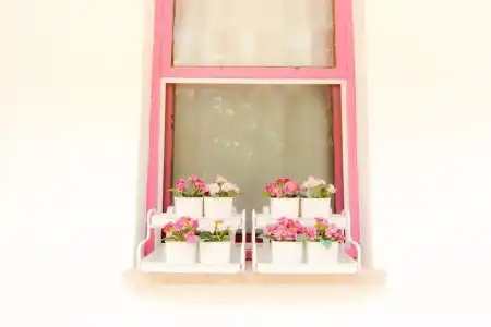 Kiraz Cicegi Butik Akyaka - 9