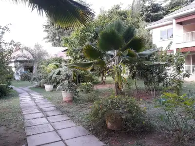 Villa Rafia - 8