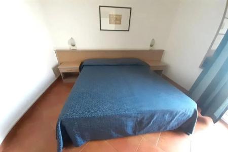 Salsedine - 37
