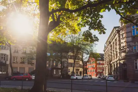 Hôtel du Dragon - 19