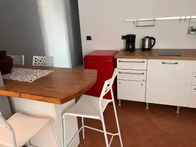 Canarino - 85