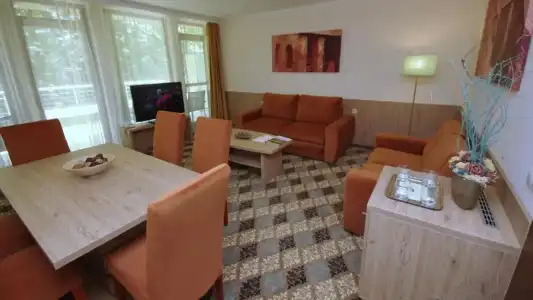 Wellness Gyula - 4