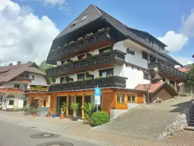 Hochschwarzwaldhof - 16