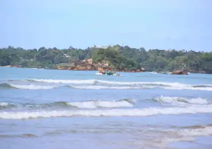 The Surfer - 1