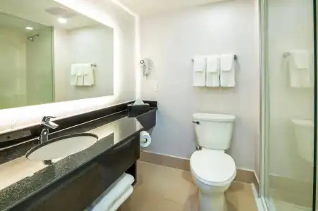Comfort Inn & Conference Centre Toronto Airport - 9