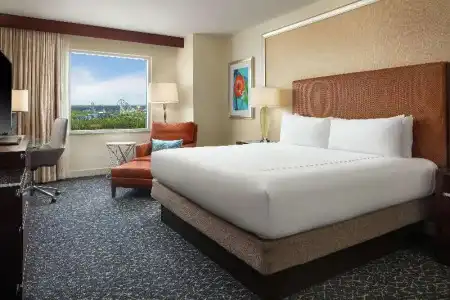 Hilton Orlando - 22