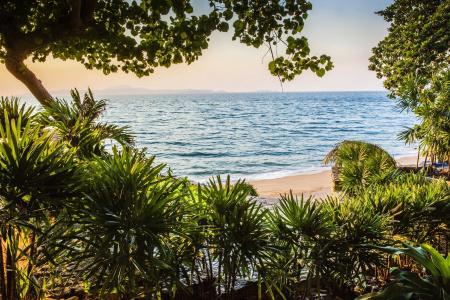 The Monttra Pattaya - 21