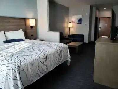 Best Western Plus San Antonio East Inn & Suites - 73
