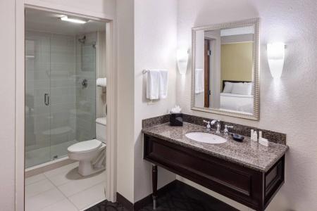 SpringHill Suites Dallas Downtown / West End - 31