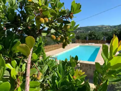 Agriturismo la Palazzetta di Assisi - 13