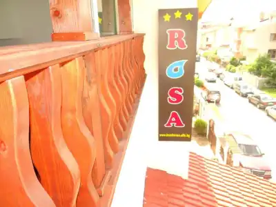 Rosa - 11