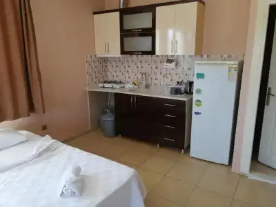Mina Apart Otel - 57