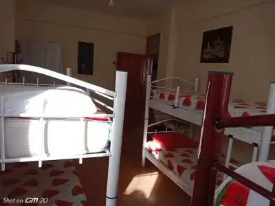 Hzd Apartments Hostel - 54