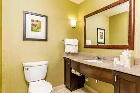 Hilton Garden Inn St. George - 77