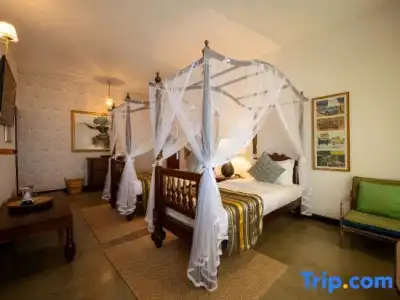 The Elephant Stables - 130